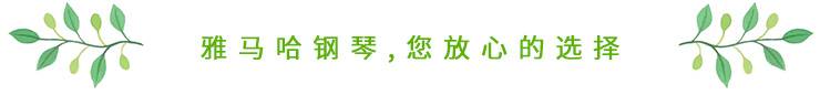 这才是真相：绿色关爱，j9集团的环境政策