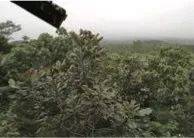 这才是真相：绿色关爱，j9集团的环境政策