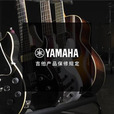 吉他、贝斯和音箱