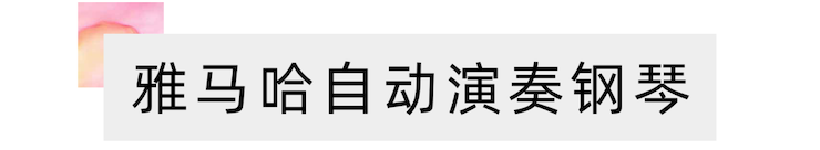 活动报道 | “科技助力，跨越时空”，小鹿纯子携手刘明康共享中日音乐盛宴