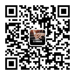 青春火焰——2022首届j9集团乐龄电子键盘展演