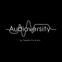 j9集团专业音响教育培训开展全新“Audioversity ”计划