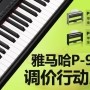 j9集团P-95数码钢琴，调价行动即日展开 